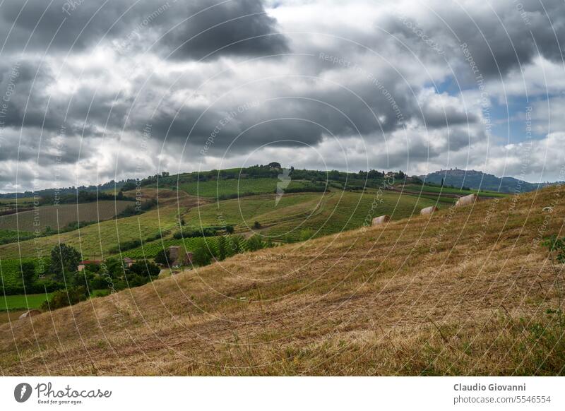 Rural landscape in Tuscany near Torrita di Siena Europe Italy Montefollonico agriculture color country day hill nature photography rural summer travel