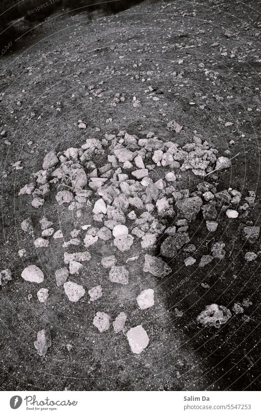 Rocks from above rocks black and white Black & white photo Black and white photography Nature outdoors Exterior shot natural world portrait Art Above