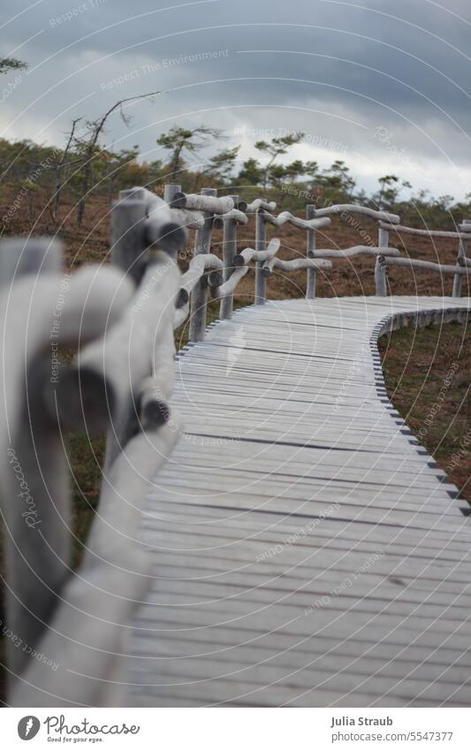 Wooden footbridge with rustic handrail in black moor Rhön wooden walkway Bog moorland Nature reserve hoot Rustic silver Bad weather Lanes & trails ways