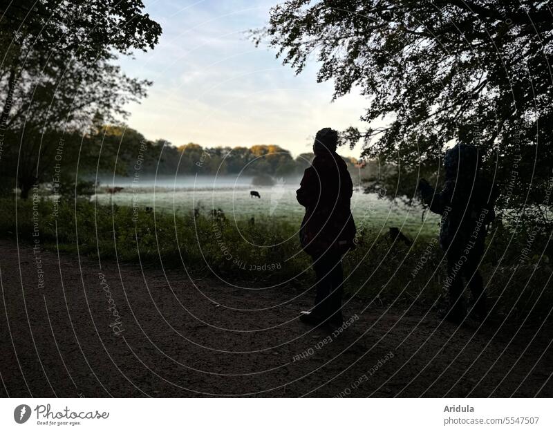 Two children watching a cow in a foggy meadow in the morning Child Cow Observe Meadow Morning Fog Landscape Autumn Dawn Calm Animal Misty atmosphere