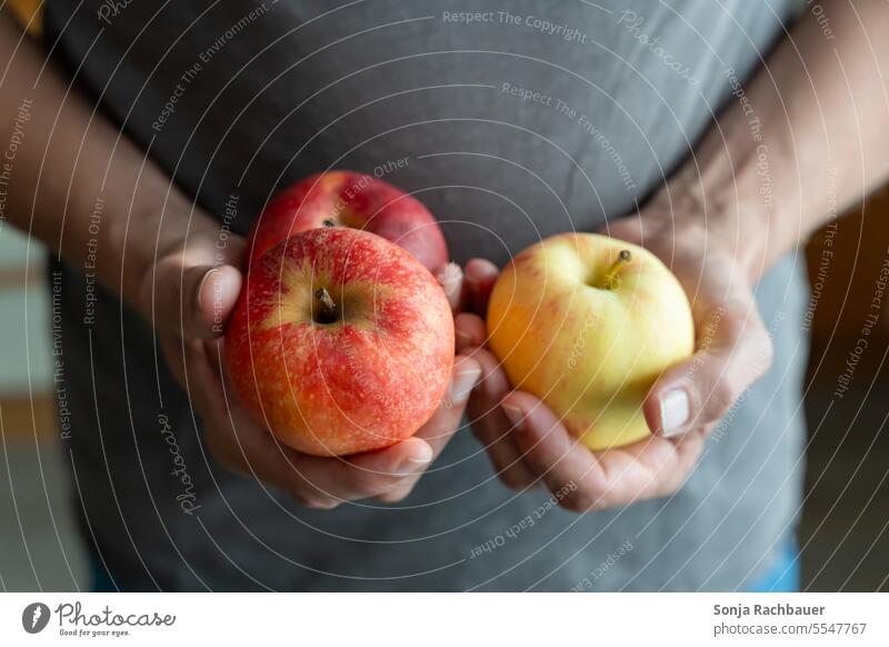 A man holds three apples in his hands Apple Man stop Close-up Organic produce Red Healthy Eating Diet Delicious Juicy cute Vitamin-rich Fresh Fruit