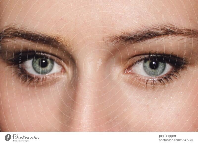 Big eyes of a young woman big eyes portrait Looking Woman Face Eyes Human being portrait photograph Pupil Pupils Eyebrows Looking into the camera Forward