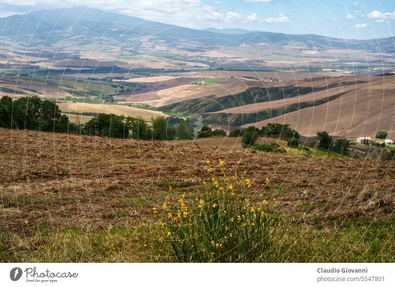 Rural landscape in Tuscany near Pienza Europe Italy Montefollonico Siena agriculture color country day farm field flower hill house nature photography rural