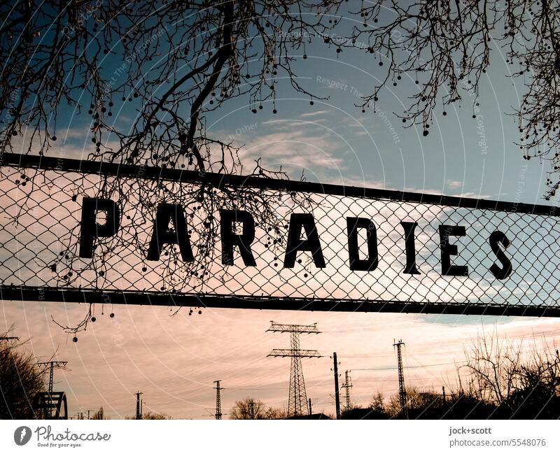 Paradise on Earth Signs and labeling Word Characters Typography Twigs and branches Sky Electricity pylon Clouds Silhouette GDR Capital letter