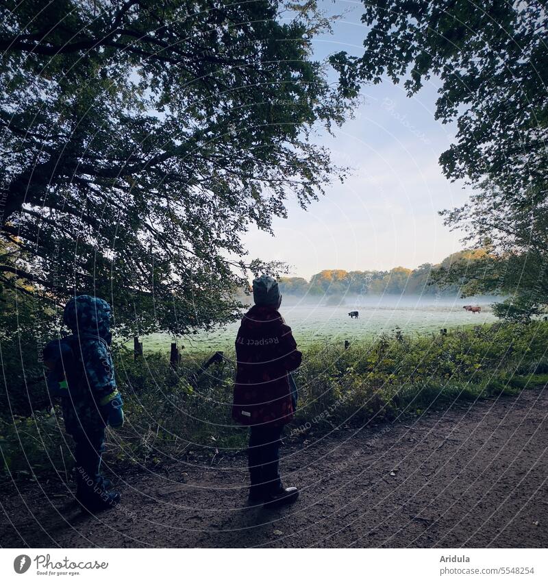 Two children watching some cows in a foggy meadow Fog Nature Landscape Willow tree Meadow Cow Animal Agriculture Cattle Farm animal Observe Cattle farming off