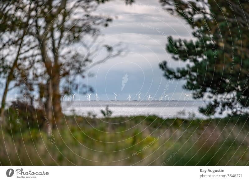 Wind farms on the North Sea coast Wind farm facilities Nature Ocean Landscape Clouds Sylt Mud flats National Park Wadden Sea National Park Nature reserve