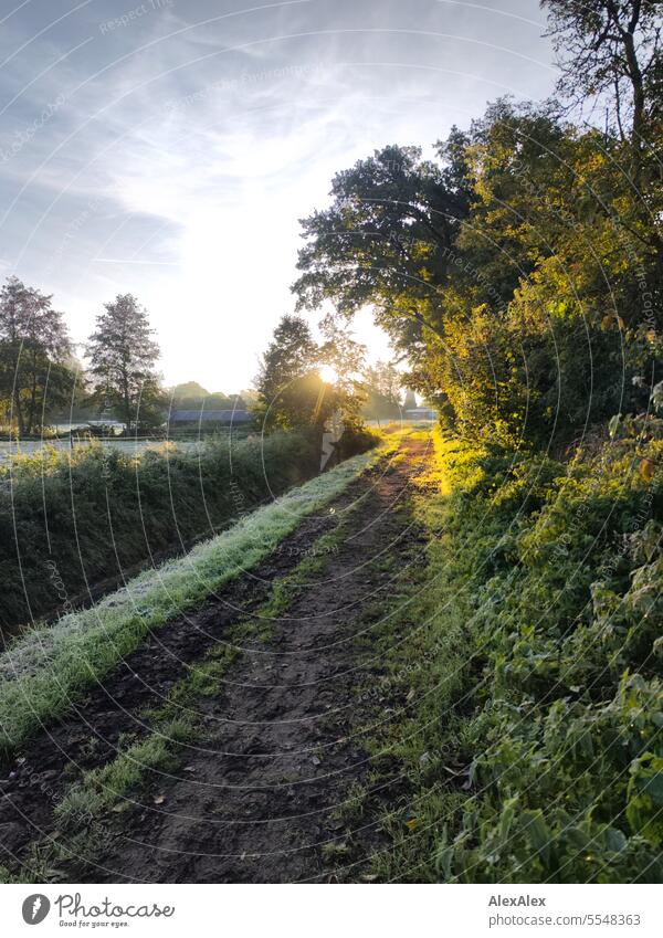 Sunrise/ morning atmosphere in early autumn, a dirt road to fenced pastures with drainage ditch trees, houses and a windmill Morning in the morning Moody