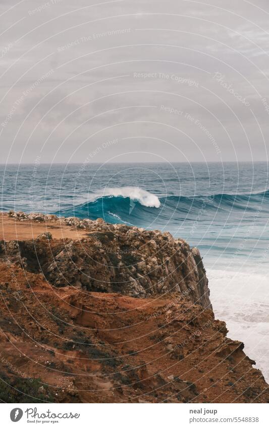 Approaching wave on the cliffs of the Algarve Nature Ocean Autumn Gale coast Wind Water Rock steep coast Exterior shot Landscape Cliff Far-off places Deserted