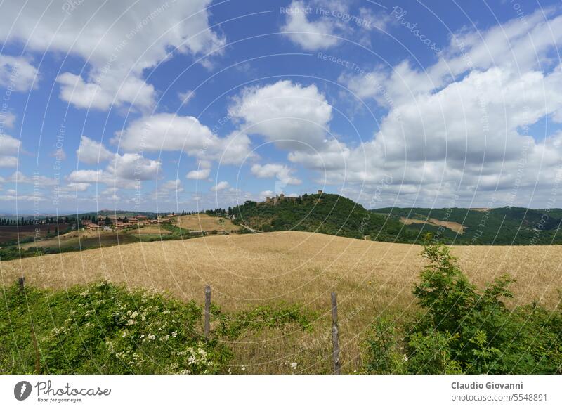 Rural landscape in Tuscany near Pienza Europe Italy Monticchiello Siena agriculture color country day farm field flower hill house nature photography rural