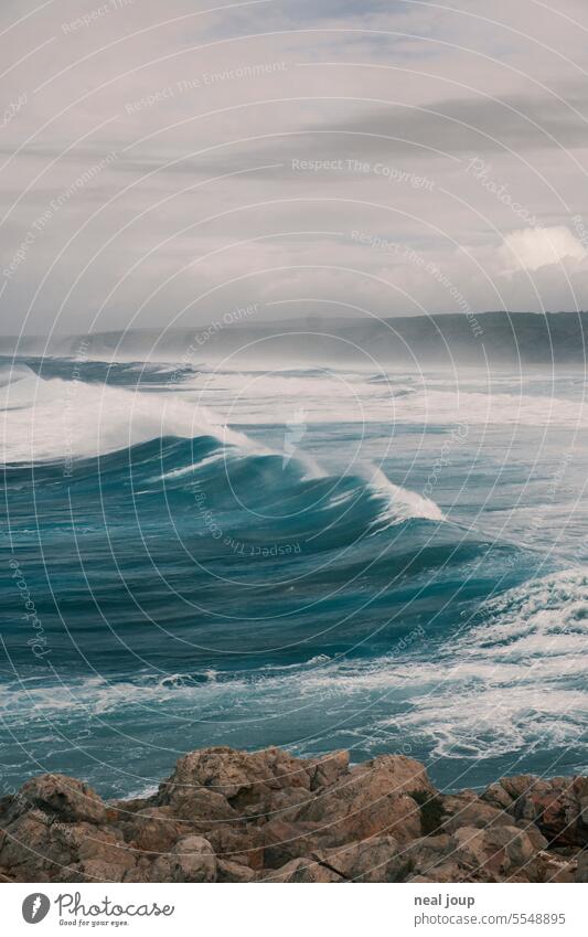 Approaching swell during storm in Algarve Nature Ocean Autumn Gale coast Wind Water Rock steep coast Exterior shot Landscape Cliff Far-off places Deserted