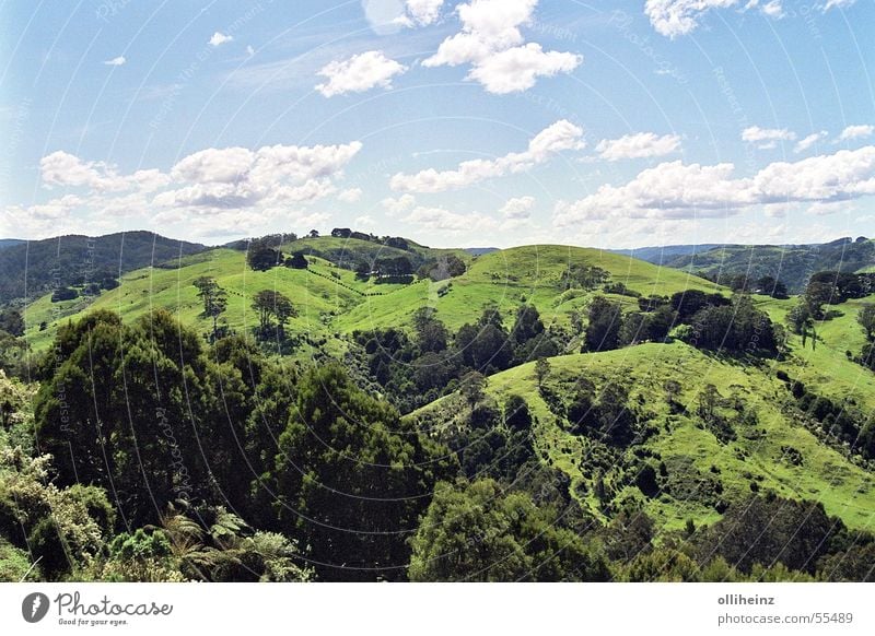 Green Down Under Cyan Clouds Tree Leaf Grass Australia Bushes Fence Hill Exterior shot Sky Blue Branch Lawn Landscape Mountain Freedom Far-off places Victoria