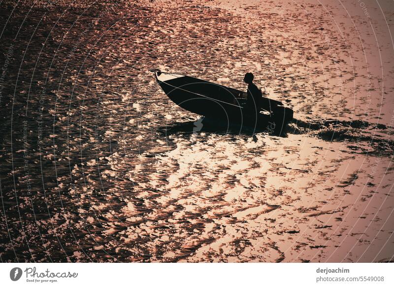 A small boat sails through the silver shining evening sun with light waves. boating Exterior shot Driving Water Ocean Trip Colour photo Boating trip Summer