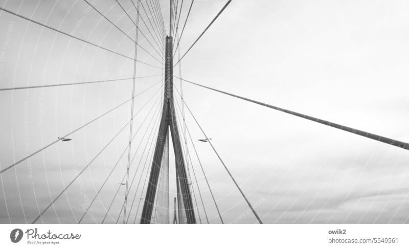 Seine Bridge Innovative Bridge construction Tourist Attraction Pont de Normandie Le Havre France Exterior shot Architecture Large Lanes & trails Elegant