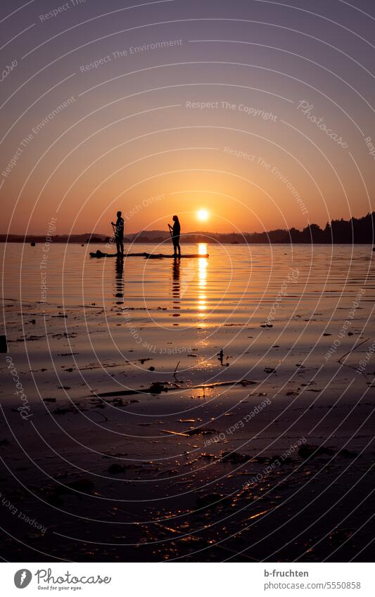 Two stand-up paddles at sunset, Wallersee, Austria stand-up paddling Summer Water SEA Sports Relaxation Lake Stand-up paddle Nature people Colour photo