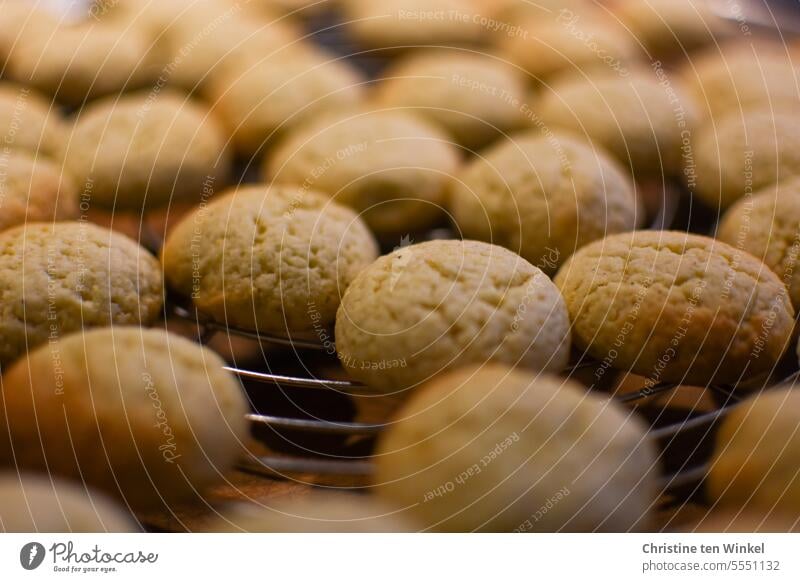 Christmas cookies fresh from the oven Cookie Baking homemade bake cookies Christmas baking Anticipation Christmas biscuit Christmas & Advent biscuits Delicious