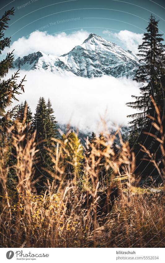 Snow covered peak of Lenzerhorn 2906m.a.s.l. in the background Mountain Nature Tourism Landscape Vacation & Travel Alps Clouds Rock mountains Peak Environment