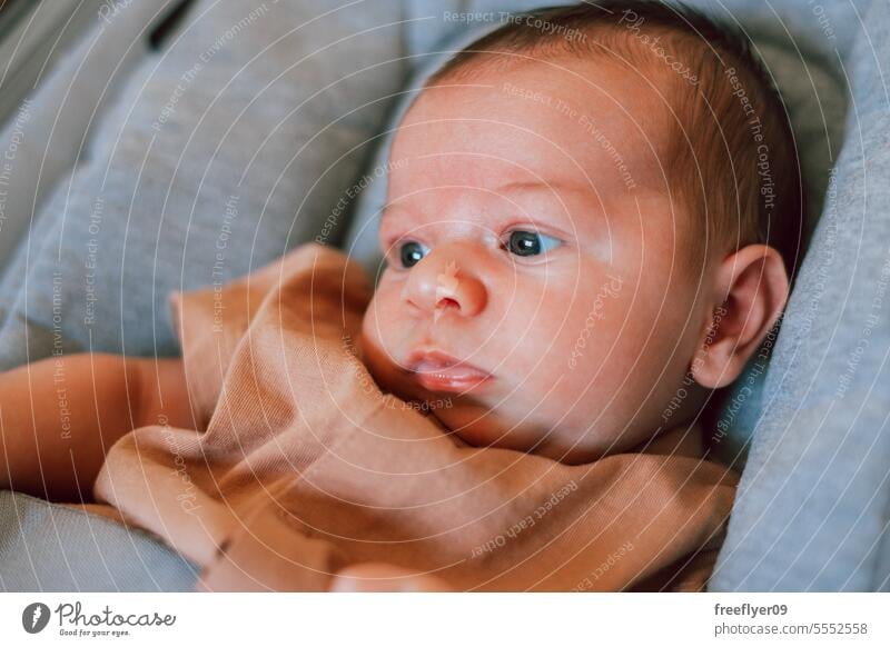 Portrait of a newborn on a baby hammock sitting portrait copy space parenthood motherhood innocence life labor young boy happy small pregnancy little childhood