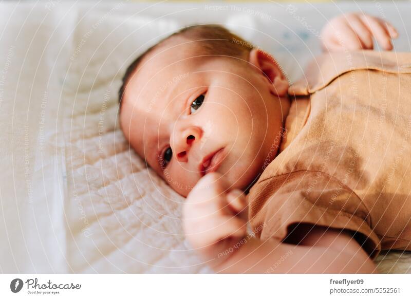 Portrait of a newborn on a baby changer lying portrait hammock copy space parenthood motherhood innocence life labor young boy happy small pregnancy little