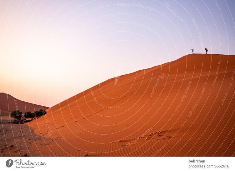 summiteers Light Dawn Sunrise Sossusvlei Namibia Far-off places Africa Desert Sand Sesriem Wanderlust travel Colour photo Landscape Loneliness Adventure Freedom