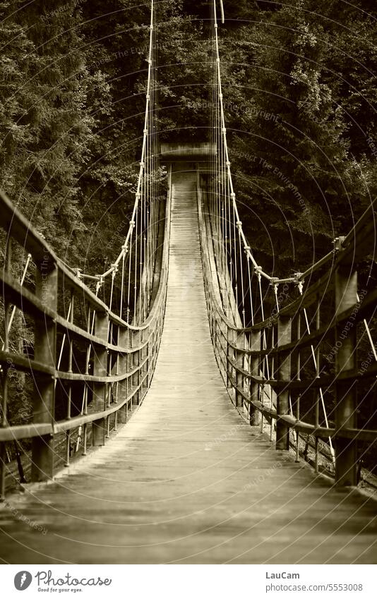 Suspension bridge test of courage Bridge fake Unafraid of heights Hang Central perspective centred Traverse Crossing Lanes & trails off over across cut across