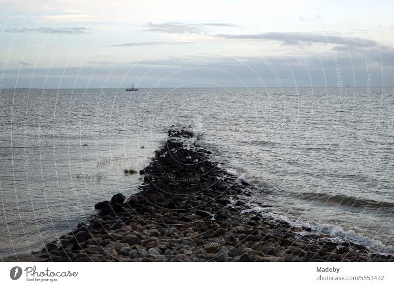 Coastal protection with breakwater on the dike in autumn in Büsum in the district of Dithmarschen on the coast of the North Sea on the North Sea in North Frisia in Schleswig-Holstein