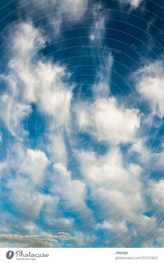 A bunch of clouds Weather Elements Air Sky Clouds Climate Climate change Nature Blue Environment cloudy Clouds in the sky Meteorology climate crisis