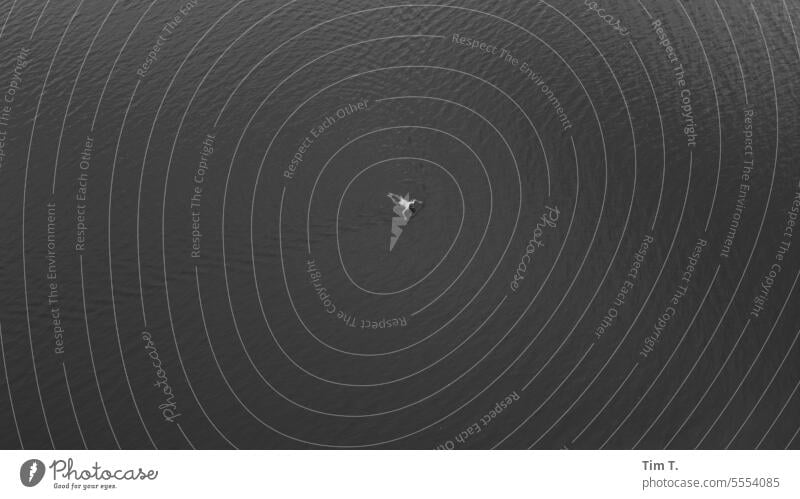 float Lake lake Autumn b/w UAV view Black & white photo B/W Day B&W Exterior shot Calm Loneliness Brandenburg bnw