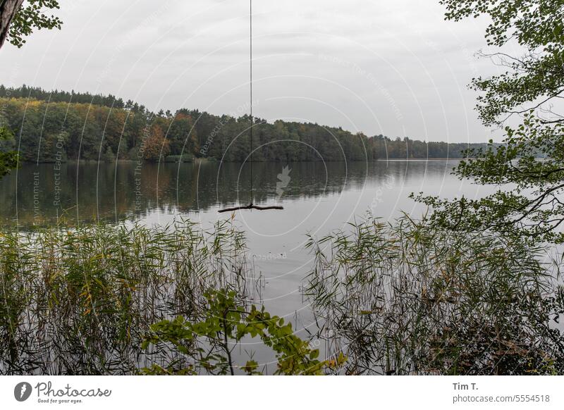 View of the lake from the autumn shore with reeds liepnitzsee Brandenburg Autumn Lake Lakeside Nature Water Landscape Calm Exterior shot Deserted Idyll