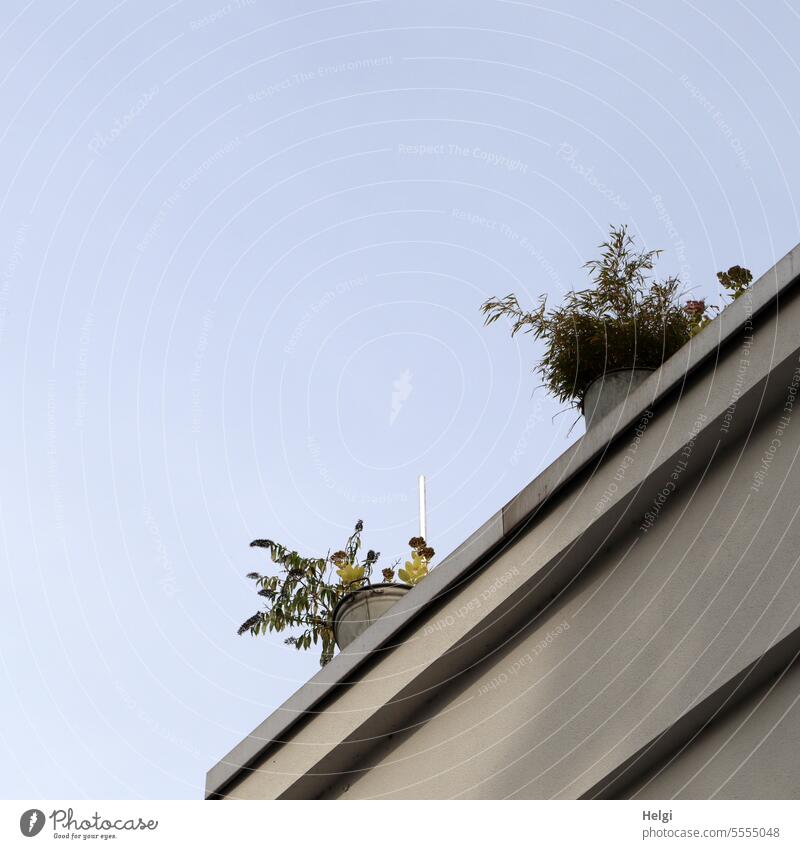 Wide open spaces | Balcony Building House (Residential Structure) Plant tub plant dwell Sky out Exterior shot Architecture Facade Town Deserted