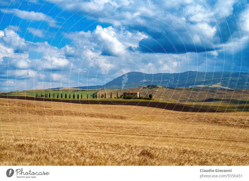 Rural landscape in Tuscany near San Quirico d Orcia Europe Italy Siena Val d Orcia agriculture color country cypress day farm field hill house nature