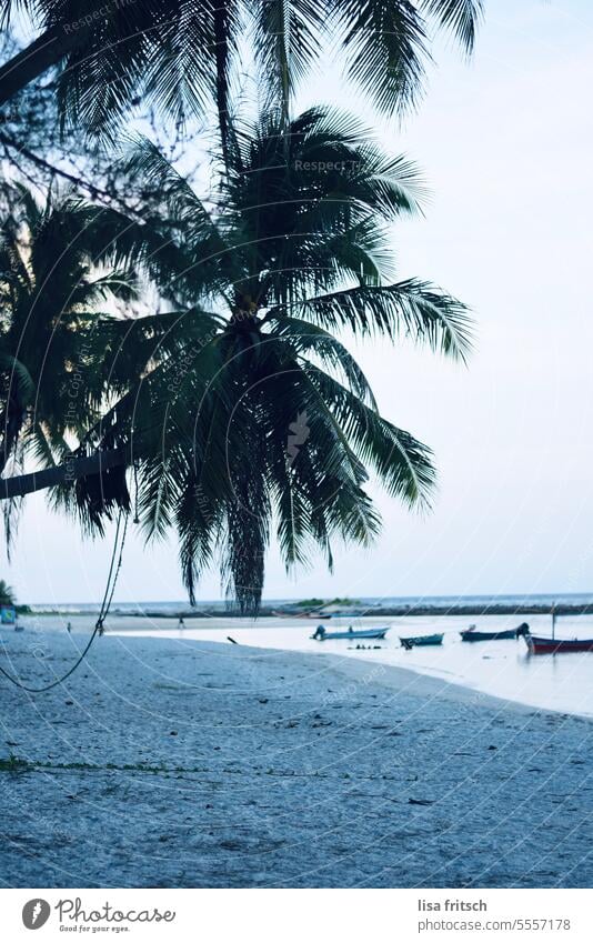 SEA - BEACH - PALM TREES - VACATION palms boats Beach Ocean Thailand coast Water Nature Summer Vacation & Travel Tourism vacation Landscape Bay Blue Sand Sky