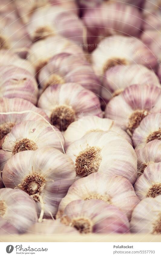 #A0# Garlic Garlic bulb Clove of garlic Garlic cloves Garlic bulbs Garlic soup Vegetable Food Colour photo Herbs and spices Mediterranean