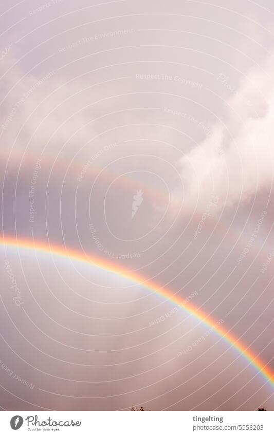 Double rainbow against cloudy sky Rainbow double rainbow Sky Weather Clouds Spectrum Light Nature magic Blue Heavenly enchanting Arch Natural spectacles