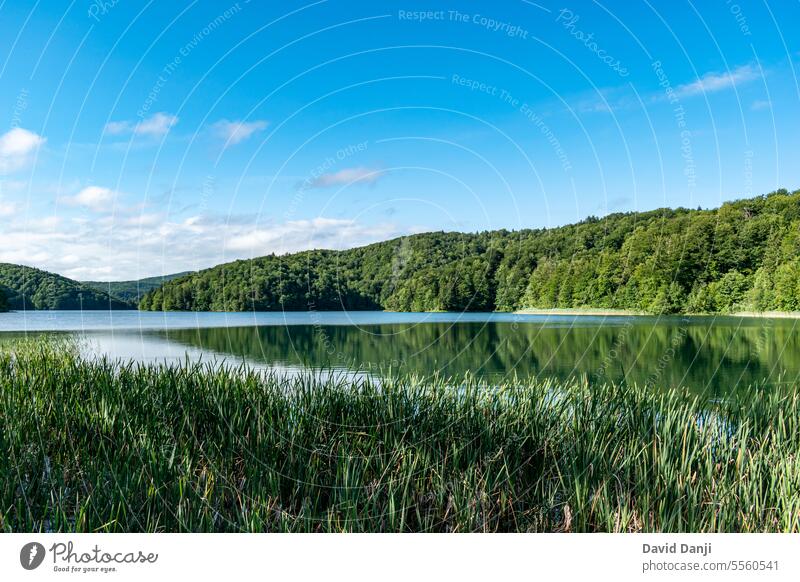 Plitvice Lakes National Park attraction background beautiful beauty blue cascade clean clear coast croatia environment europe forest green hiking idyllic lake