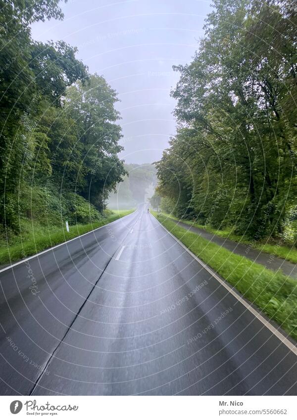 highway Country road In transit Street Traffic infrastructure Road movie road trip on the road aquaplaning empty street Traffic lane Motoring Transport