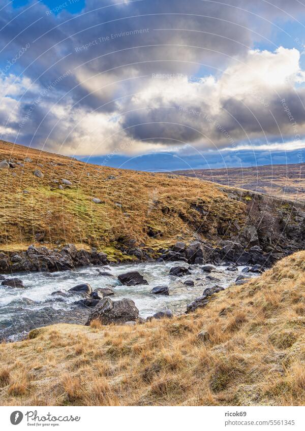 Landscape with river in east of Iceland Island River Water Grass Willow tree Meadow Nature Rock Stone mountain Autumn Sky Clouds Blue Idyll vacation voyage