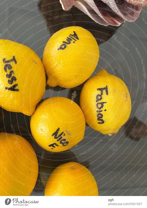 Lemon party Party Place card decoration Decoration table decoration names Southern Lemon yellow Citrus fruits Lemons