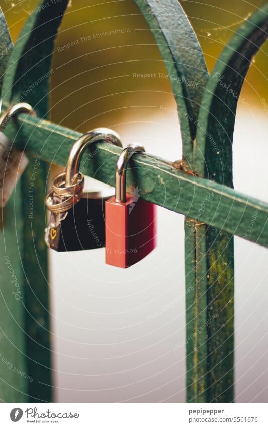 Marble, stone and iron... Love lock with 2 rings on a bridge Love Locks Love padlock Romance Infatuation Emotions Relationship Display of affection Loyalty