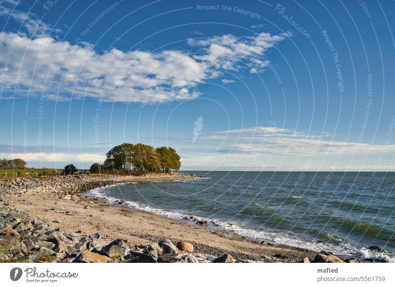 After the tide / beach with group of trees on the Baltic coast in sunny weather Ocean Water Sky bank off To go for a walk Blue Green Gray wide Baltic Sea Waves