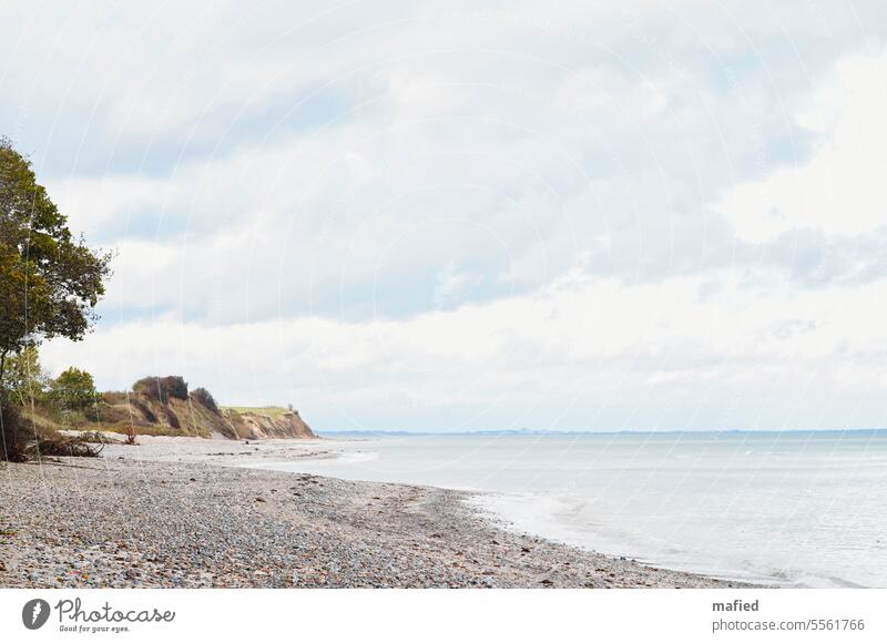 After the tide / beach and cliffs on the Baltic Sea with overcast sky Ocean coast Water Sky bank To go for a walk Blue Green Gray trees wide Waves Horizon