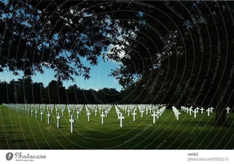 Every cross a life cemetery Historic Cemetery Normandie France Omaha Beach Grief Memory D-Day Remember Exterior shot Military cemetery Sadness Crucifix Grass