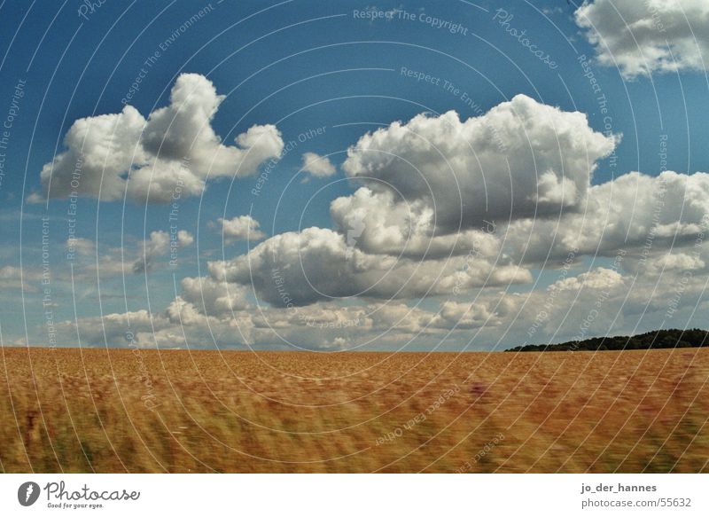 cloud field Clouds Field Yellow Horizon crop Grain forest blue