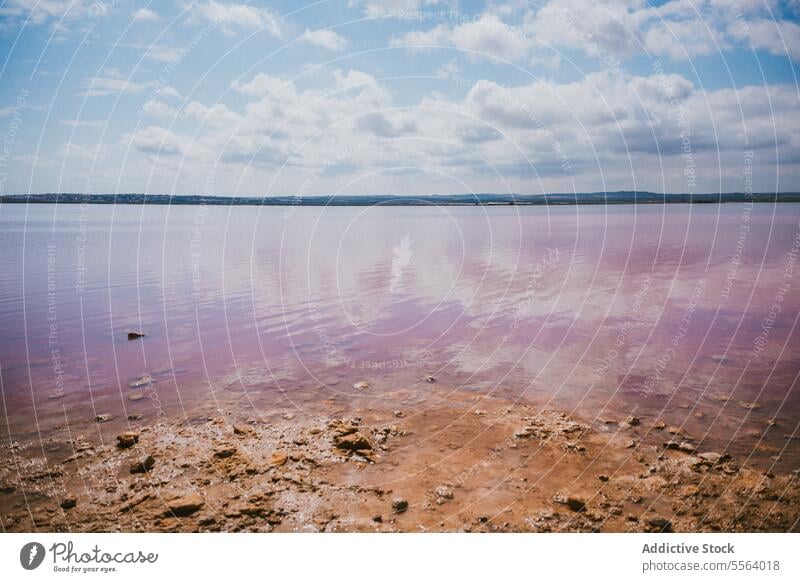 Summer landscape with pink lake water reservoir nature salt colorful mineral attract travel tourism summer vacation coast shore scenery pond environment