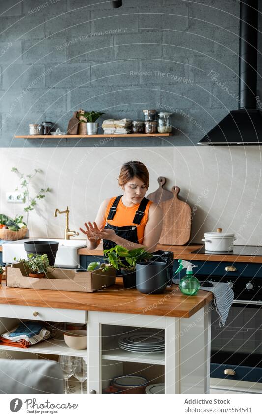 Young woman standing at table with green plants and pots in daylight gardener apron surface box cardboard at home female young wooden care work hobby flora rub