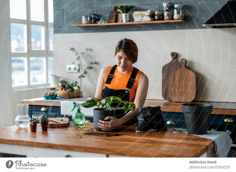 Happy young woman standing at table with green plants in daylight gardener apron pot surface smile cardboard at home female wooden happy work hobby flora spray