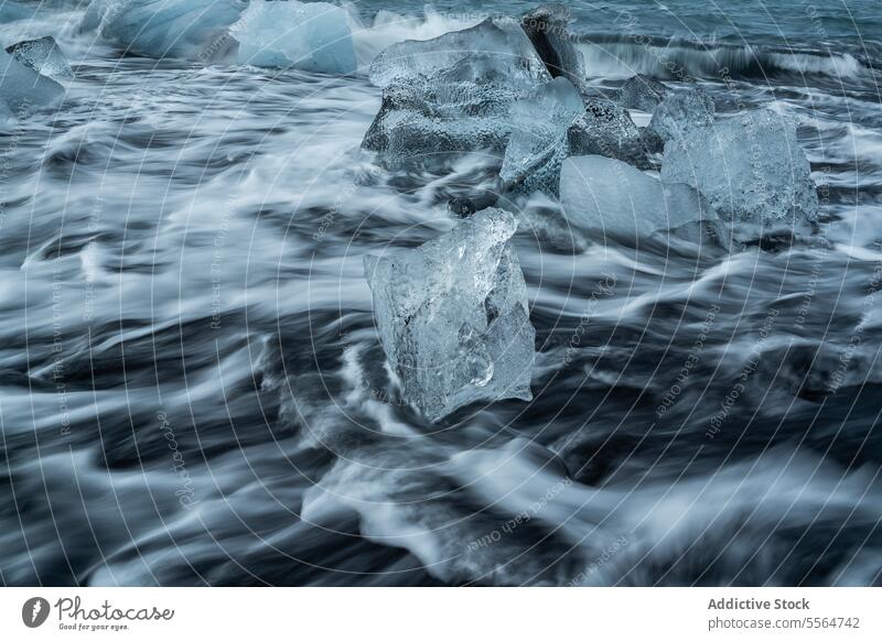 Broken ice on black beach in sea water in Iceland iceland diamond beach black sand highland landscape coast wave ocean ripple cloudy sky winter glacier