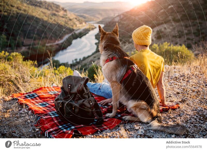 Unrecognizable traveler sitting on hill with dog man tourist pet mountain admire highland picturesque nature border collie animal scenery canine summer