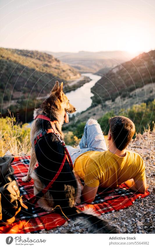 Unrecognizable traveler sitting on hill with dog man tourist pet mountain admire highland picturesque nature border collie animal scenery canine summer