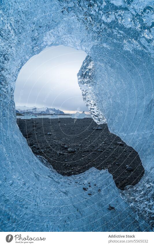 Piece of ice melting against black beach frost hole cold island water frozen crack glacier shore coast sea weather iceland seaside north seashore Jokulsarlon