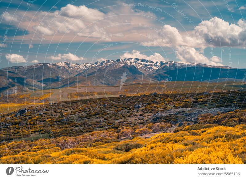 Spring landscape under a sky with clouds springtime grass nature horizontal no people photography color image beauty in nature mountain range outdoors